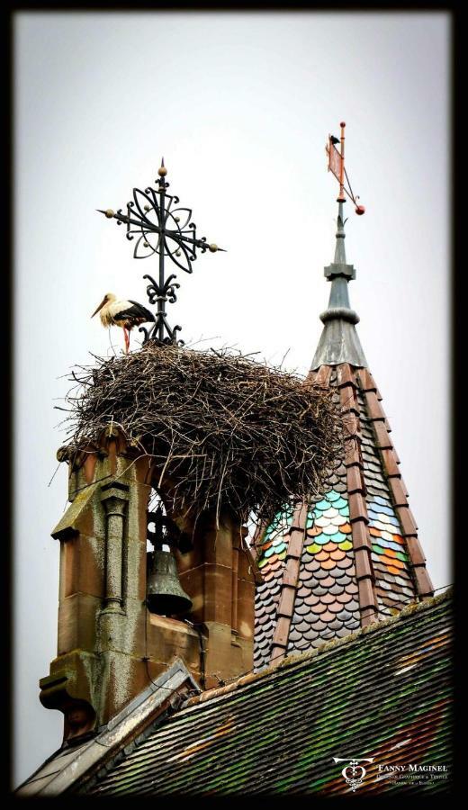 Gite Edelweiss A Eguisheim Buitenkant foto