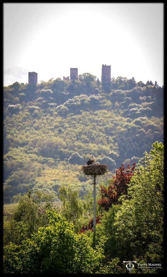 Gite Edelweiss A Eguisheim Buitenkant foto