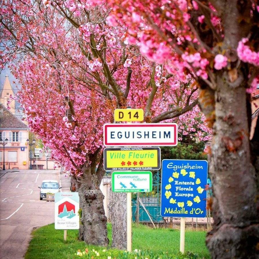 Gite Edelweiss A Eguisheim Buitenkant foto