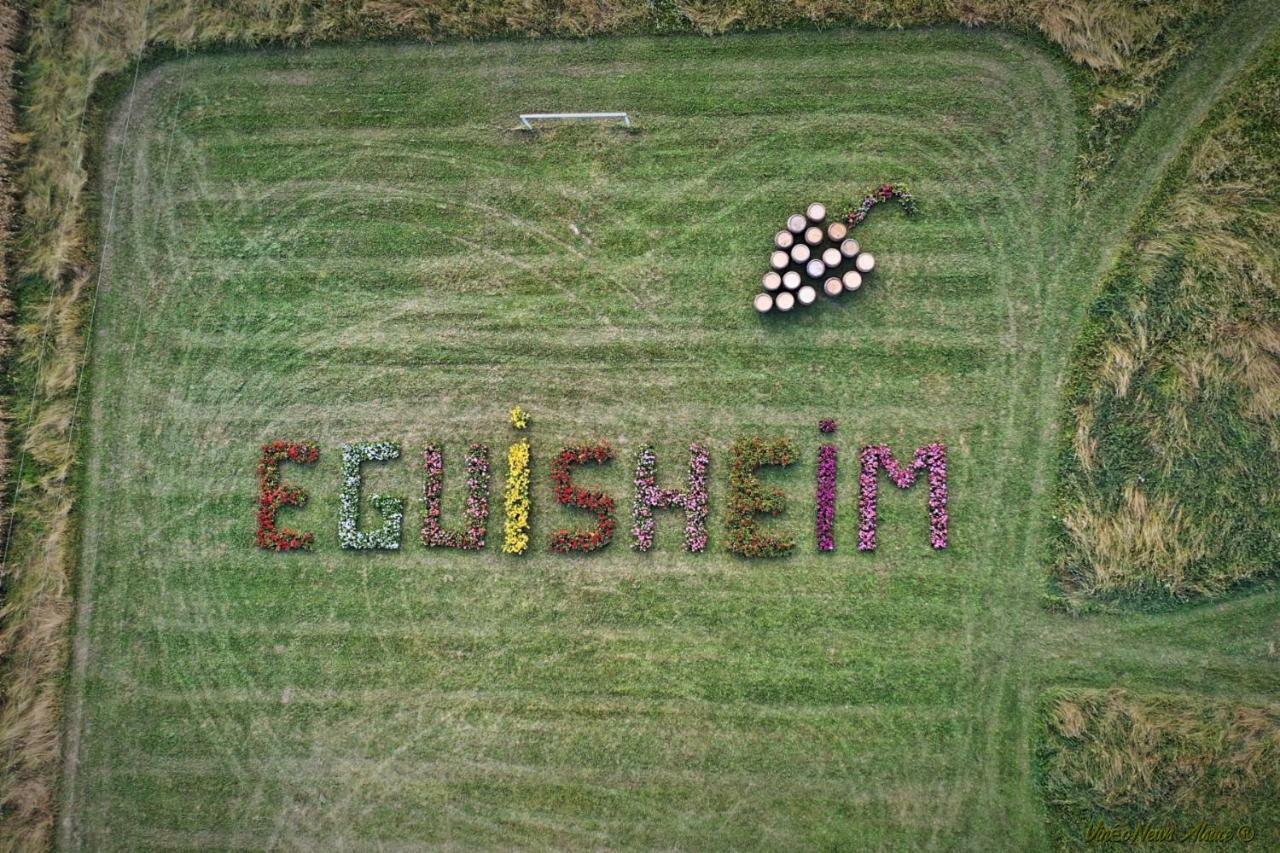 Gite Edelweiss A Eguisheim Buitenkant foto